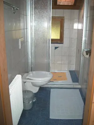 Ein Badezimmer in der Unterkunft Haus Holaus Helga