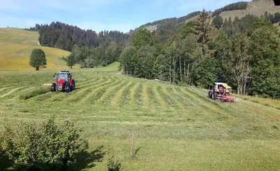 Naturlandschaft in der Nähe des Bauernhofs