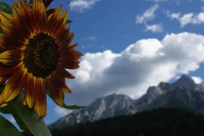 Ein allgemeiner Bergblick oder ein Berglick von der Ferienwohnung aus