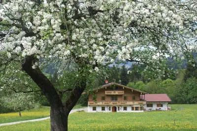 Naturlandschaft in der Nähe der Ferienwohnung