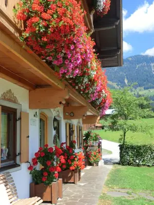 Ein allgemeiner Bergblick oder ein Berglick von der Ferienwohnung aus