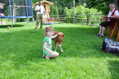 Kinder, die in der Unterkunft Berggasthof Zieplhof übernachten