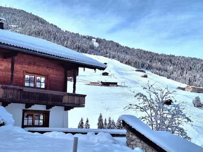 Birkheim im Winter