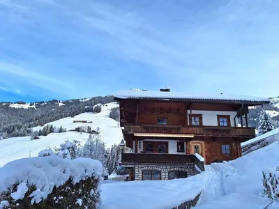 Birkheim im Winter