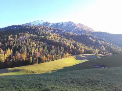 Naturlandschaft in der Nähe des Bauernhofs