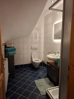 Ein Badezimmer in der Unterkunft Ferienwohnung Hinterschwarzenberg