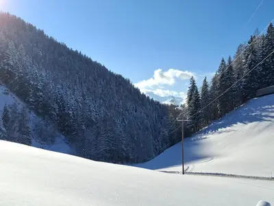 Ferienwohnung Hinterschwarzenberg im Winter