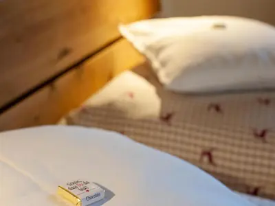 Ein Bett oder Betten in einem Zimmer der Unterkunft Farmhouse in Wildkogel near Ski Slopes