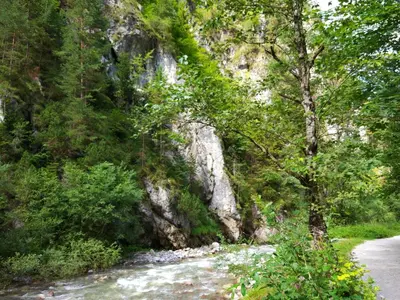 Naturlandschaft in der Nähe der Ferienwohnung