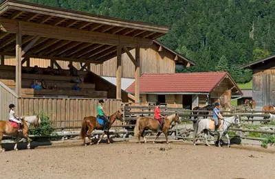 Gäste, die in der Unterkunft Gasthaus Mitterjager übernachten