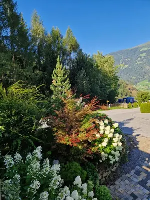 Ein allgemeiner Bergblick oder ein Berglick von der Ferienwohnung aus