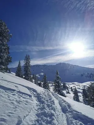 Reiterhof im Winter