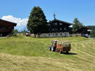 Ein Garten an der Unterkunft Obinghof