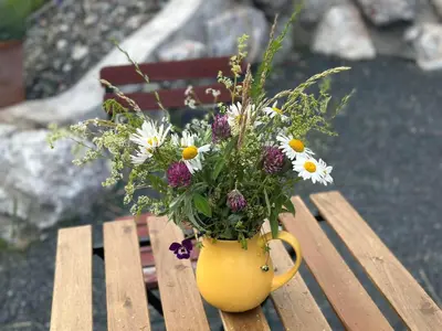 Ein Garten an der Unterkunft Obinghof