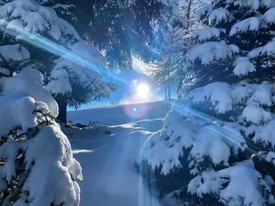 Alpines Nest by Apartment Managers im Winter