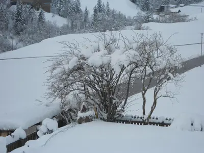 Haus Panorama im Winter