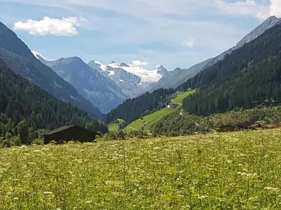 Naturlandschaft in der Nähe der Ferienwohnung