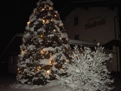 Grundriss der Unterkunft Gästehaus Waldruh