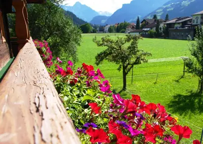 Naturlandschaft in der Nähe der Ferienwohnung