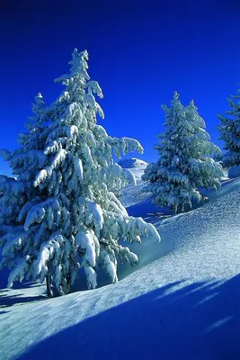 Gielerhof im Winter