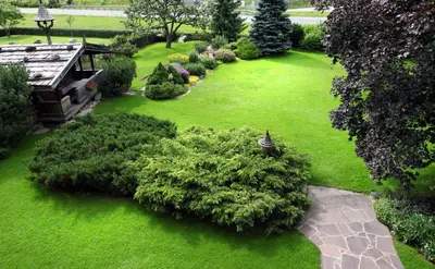 Ein Garten an der Unterkunft Dreilärchenhaus