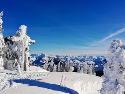 Dreilärchenhaus im Winter