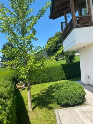 Ein Garten an der Unterkunft Casa45