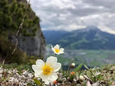 Naturlandschaft in der Nähe der Ferienwohnung