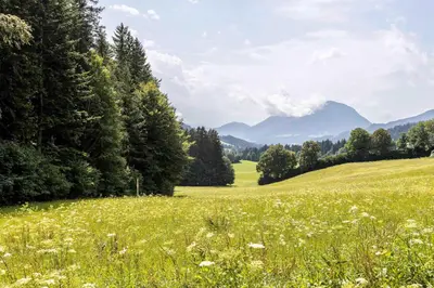 Naturlandschaft in der Nähe der Pension