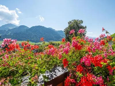 Naturlandschaft in der Nähe des Ferienhauses