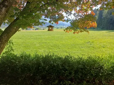 Ein Garten an der Unterkunft Oase der Ruhe