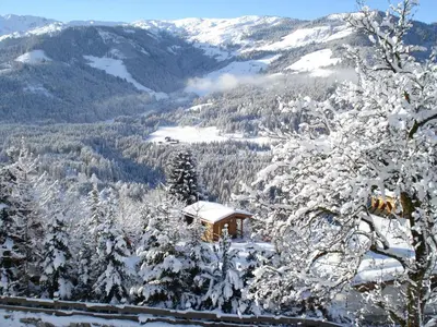 Scherntreinerhof im Winter