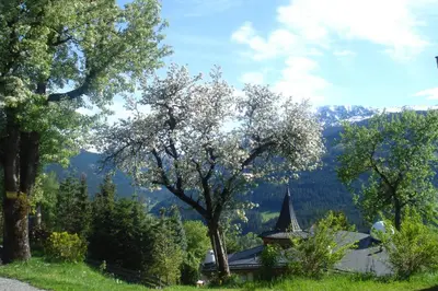 Naturlandschaft in der Nähe des Bauernhofs