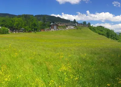 Naturlandschaft in der Nähe der Ferienwohnung