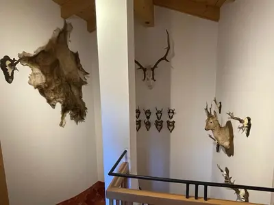 Tiere im Ferienhaus oder in der Nähe