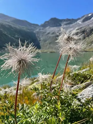 Naturlandschaft in der Nähe des Ferienhauses