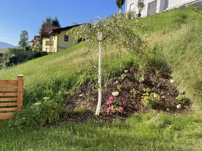 Ein Garten an der Unterkunft Haus SaRo