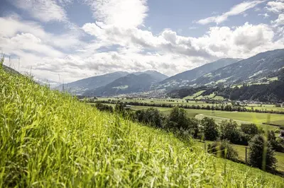 Naturlandschaft in der Nähe der Ferienwohnung