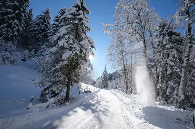 Kastnhäusl Wildschönau - urige Hütte mit Bergblick im Winter