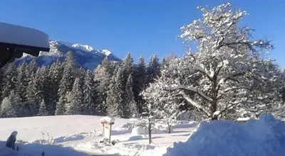 Grossummerstall im Winter