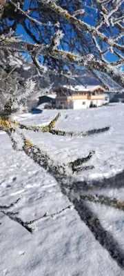 Das Kaiserwohl Chalet im Winter
