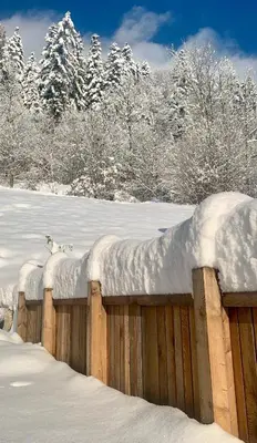 Appartement Naturbunt im Winter