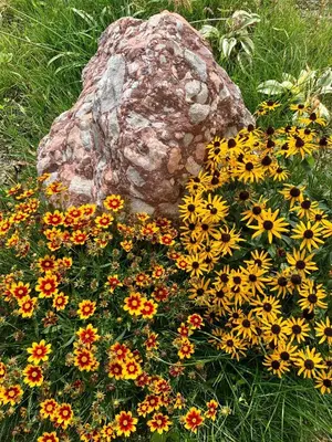 Ein Garten an der Unterkunft Appartement Naturbunt