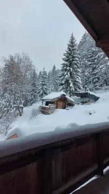 Naturetouch im Winter
