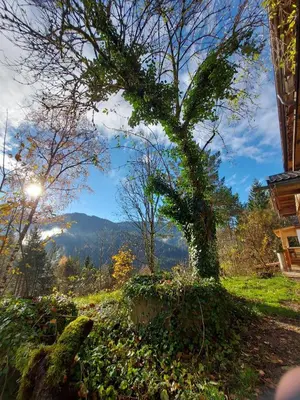 Naturlandschaft in der Nähe der Ferienwohnung