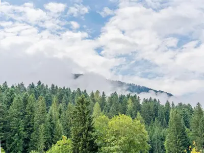Naturlandschaft in der Nähe des Ferienhauses