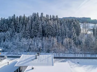 Blick auf den Rettenstein Top 1 im Winter