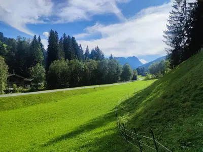 Naturlandschaft in der Nähe der Ferienwohnung