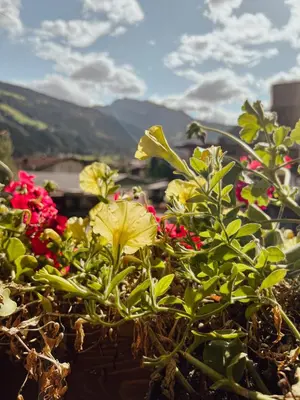 Ein allgemeiner Bergblick oder ein Berglick von der Ferienwohnung aus