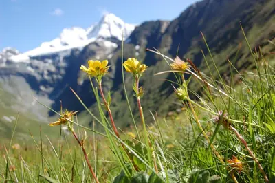 Naturlandschaft in der Nähe des Chalets